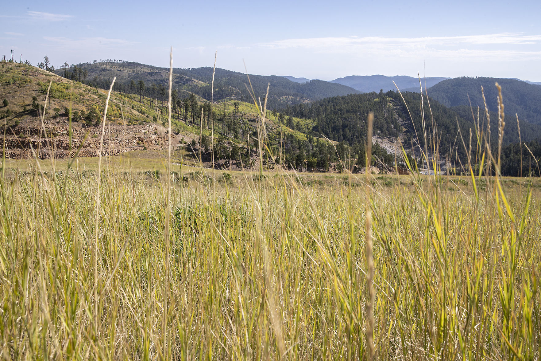 Gilt Edge Mine